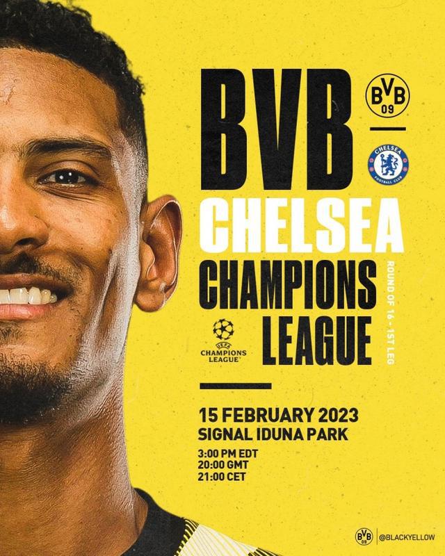 转会前景展 转会前景展